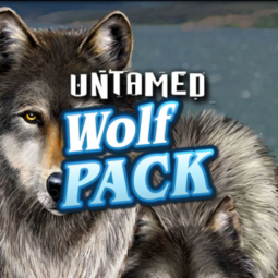 Untamed Wolf Pack Slot